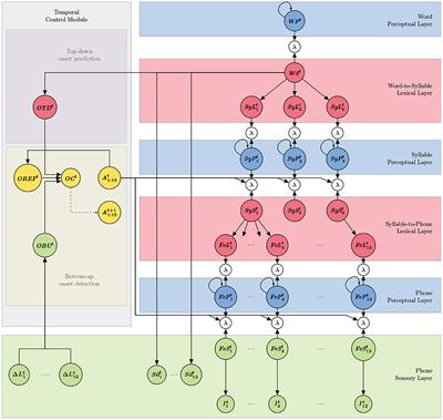 COSMO-Onset: A Neurally-Inspired Computational Model of Spoken Word Recognition, Combining Top-Down Prediction and Bottom-Up Detection of Syllabic Onsets